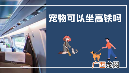 宠物如果坐高铁需要满足什么条件 狗狗可以坐高铁吗