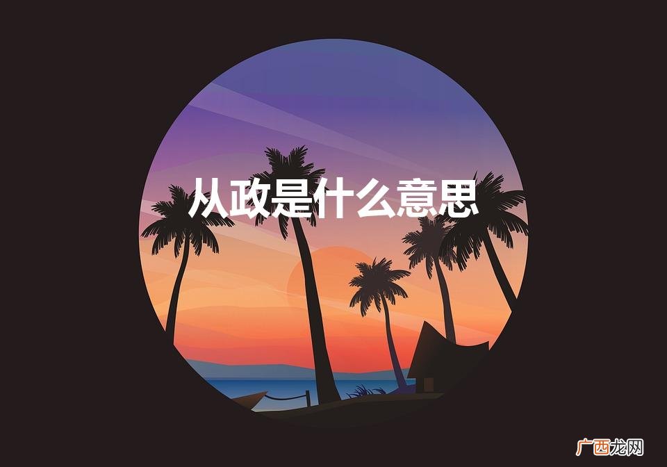 从政是什么意思（从商从政是什么意思)