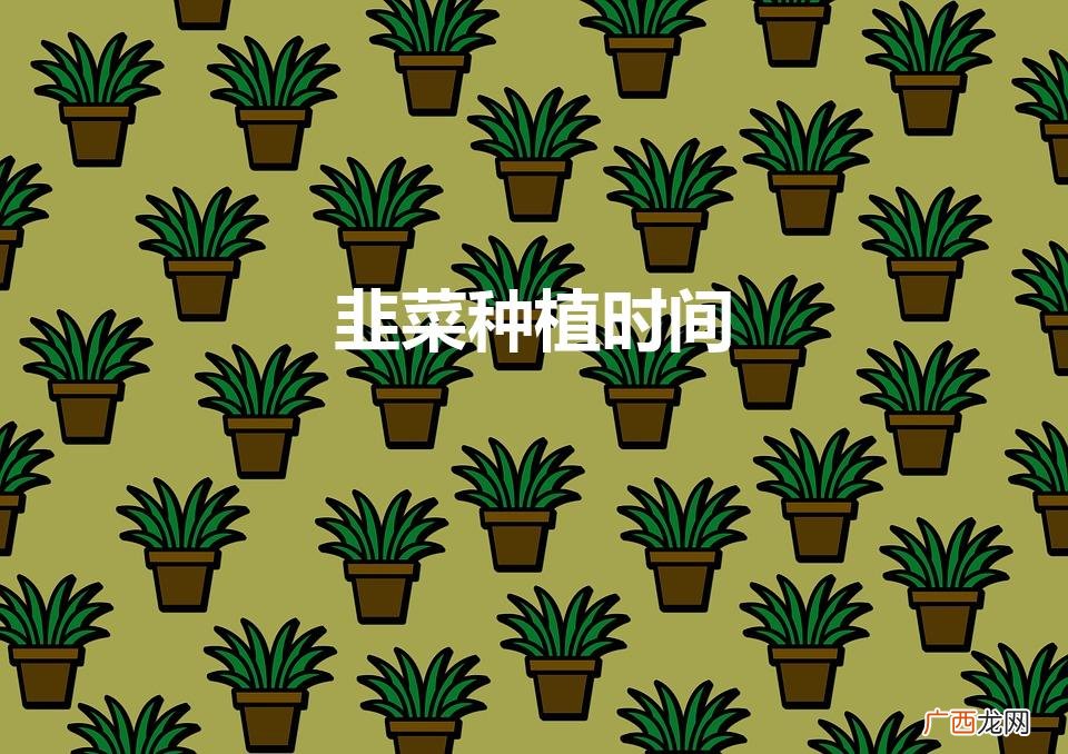 韭菜种植时间（几月份种韭菜)
