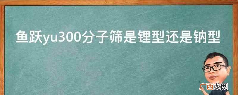鱼跃YU300家用制氧机 鱼跃yu300分子筛是锂型还是钠型