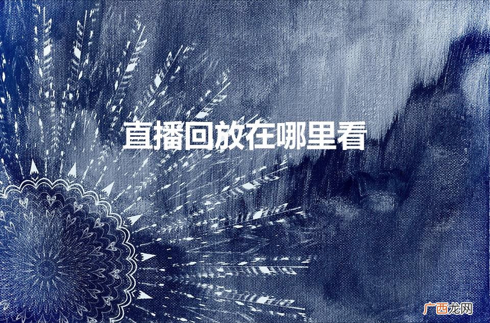 在哪里可以看到直播回放 直播回放在哪里看
