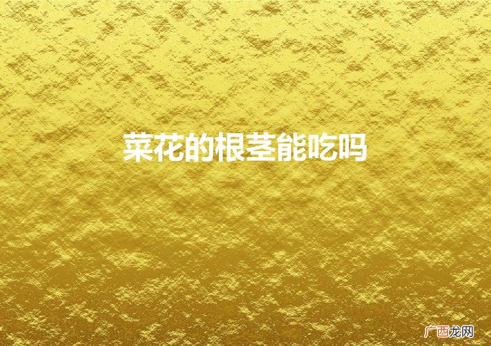 菜花根能吃吗 菜花的根茎能吃吗