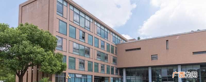 深圳技术大学2019年招生简章 深圳技术大学是几本
