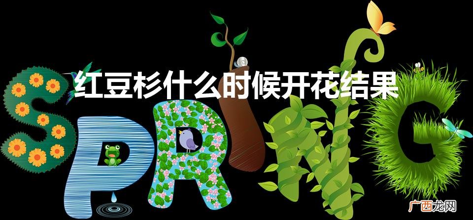 红豆杉几年能开花结果 红豆杉什么时候开花结果