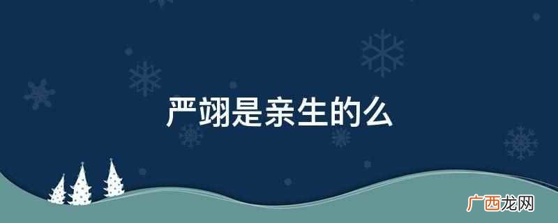 严翊是亲生的吗 严翊个人简历