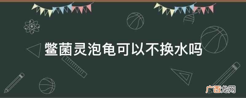 鳖菌灵泡龟不可以不换水 鳖菌灵泡龟可以不换水吗