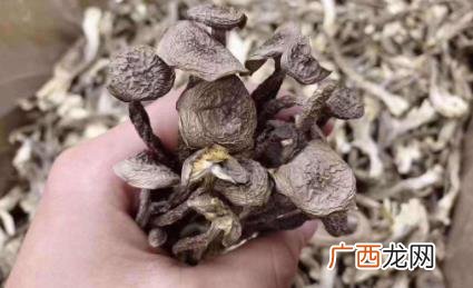 干蘑菇放了三年了还能吃吗 干蘑菇三年了还能吃吗