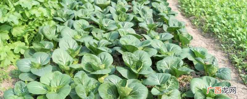 除磷剂的化学名称 除磷剂主要成分
