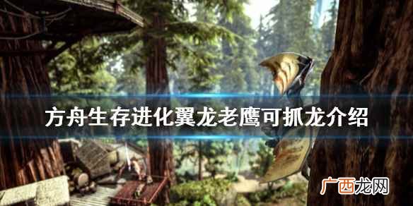 方舟生存进化翼龙老鹰可抓龙介绍 方舟生存进化翼龙能抓什么龙