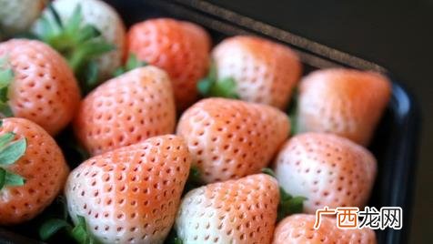 淡雪草莓是什么味道好吃吗 淡雪草莓为什么那么贵