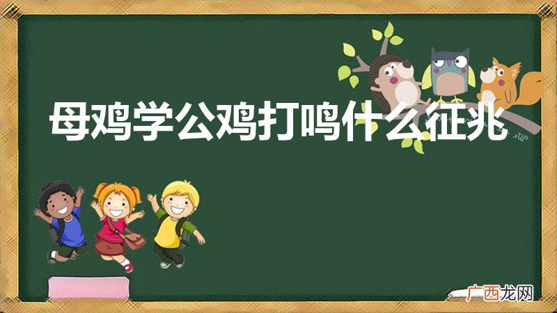 母鸡学公鸡叫什么征兆 母鸡学公鸡打鸣什么征兆