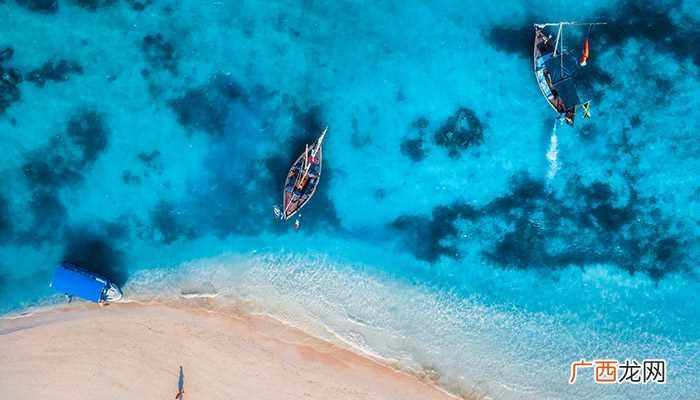 海洋生物球具备什么性状 海洋生物球有毒吗