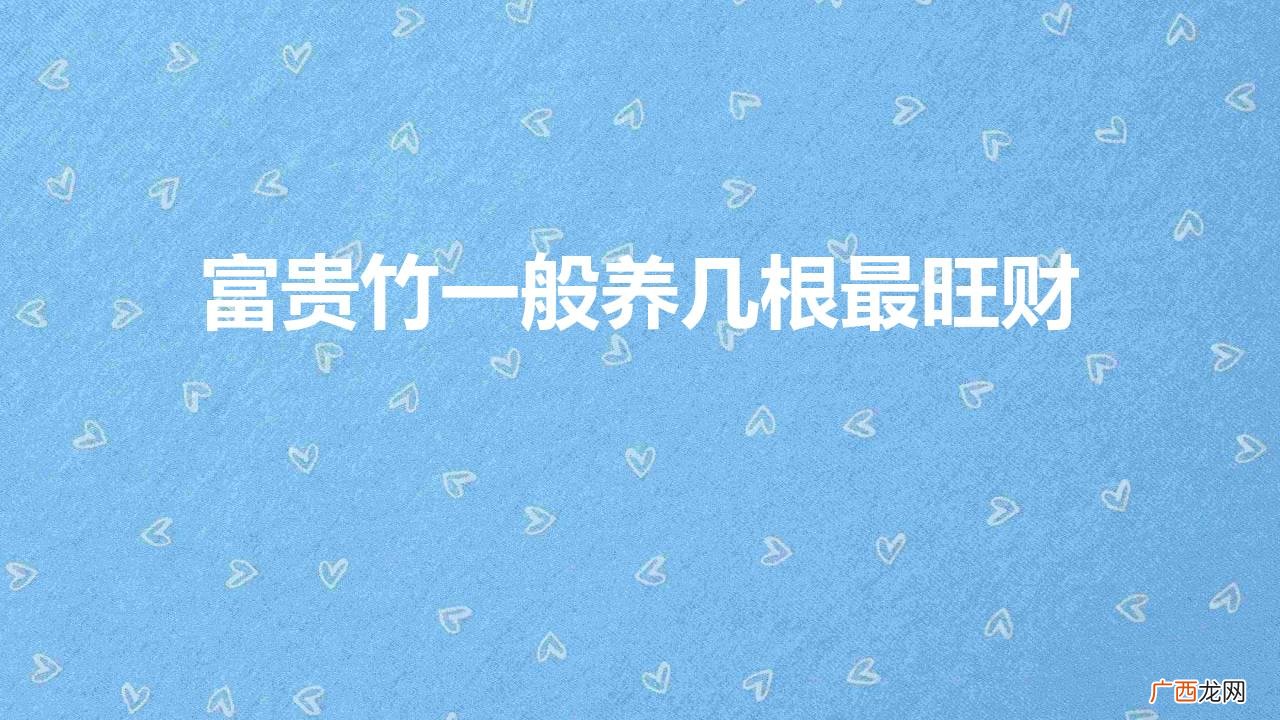 富贵竹一般养几根最旺财