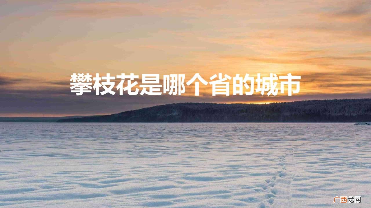 攀枝花市是四川省的一个地级市 攀枝花是哪个省的城市