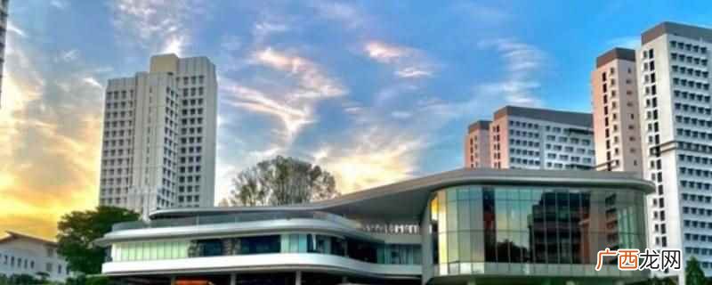 新加坡国立大学计算机博士 新加坡国立大学计算机博士读几年