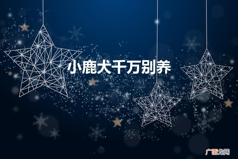 为什么不建议养小鹿犬 小鹿犬千万别养