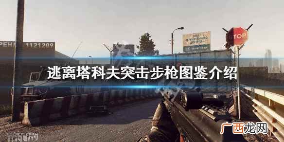 逃离塔科夫突击步枪弹药型号有哪些 逃离塔科夫全突击步枪弹药型号一览