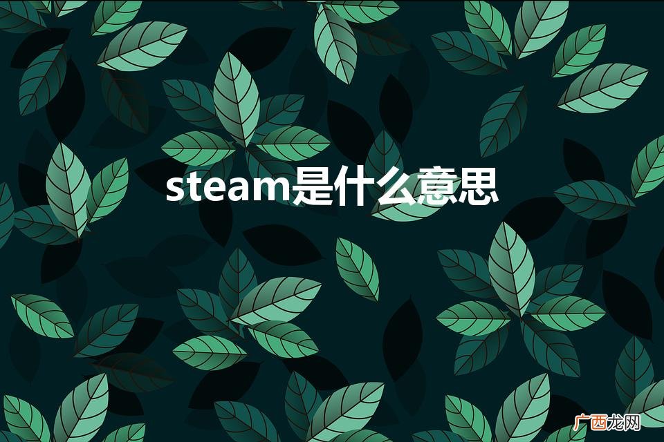 steam是什么意思