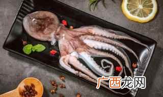 章鱼在海洋中的繁殖时间 章鱼怎么繁殖