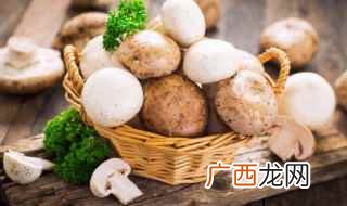 蘑菇怎样炒才好吃 制作蘑菇炒肉的方法