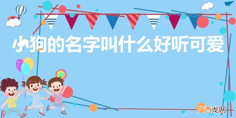 小狗名字好听又可爱 小狗的名字叫什么好听可爱