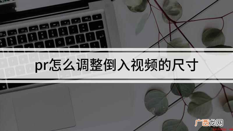戴尔灵越7000,Premiere Pro CC 2022 pr怎么调整倒入视频的尺寸