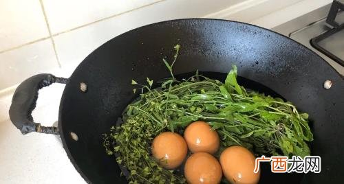 荠菜花煮鸡蛋有什么功效呢 荠菜和鸡蛋煮真的能治头痛吗