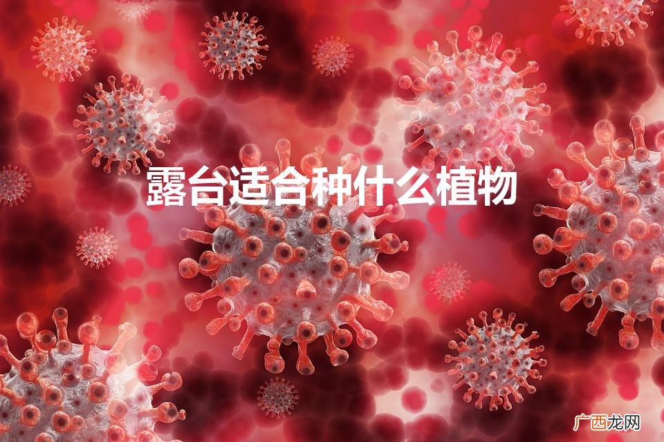 露天阳台适合养什么植物 露台适合种什么植物