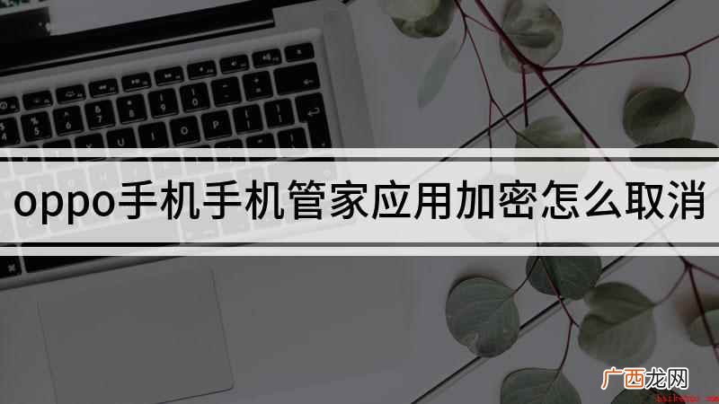 OPPO手机应用加密怎么取消 oppo手机手机管家应用加密怎么取消