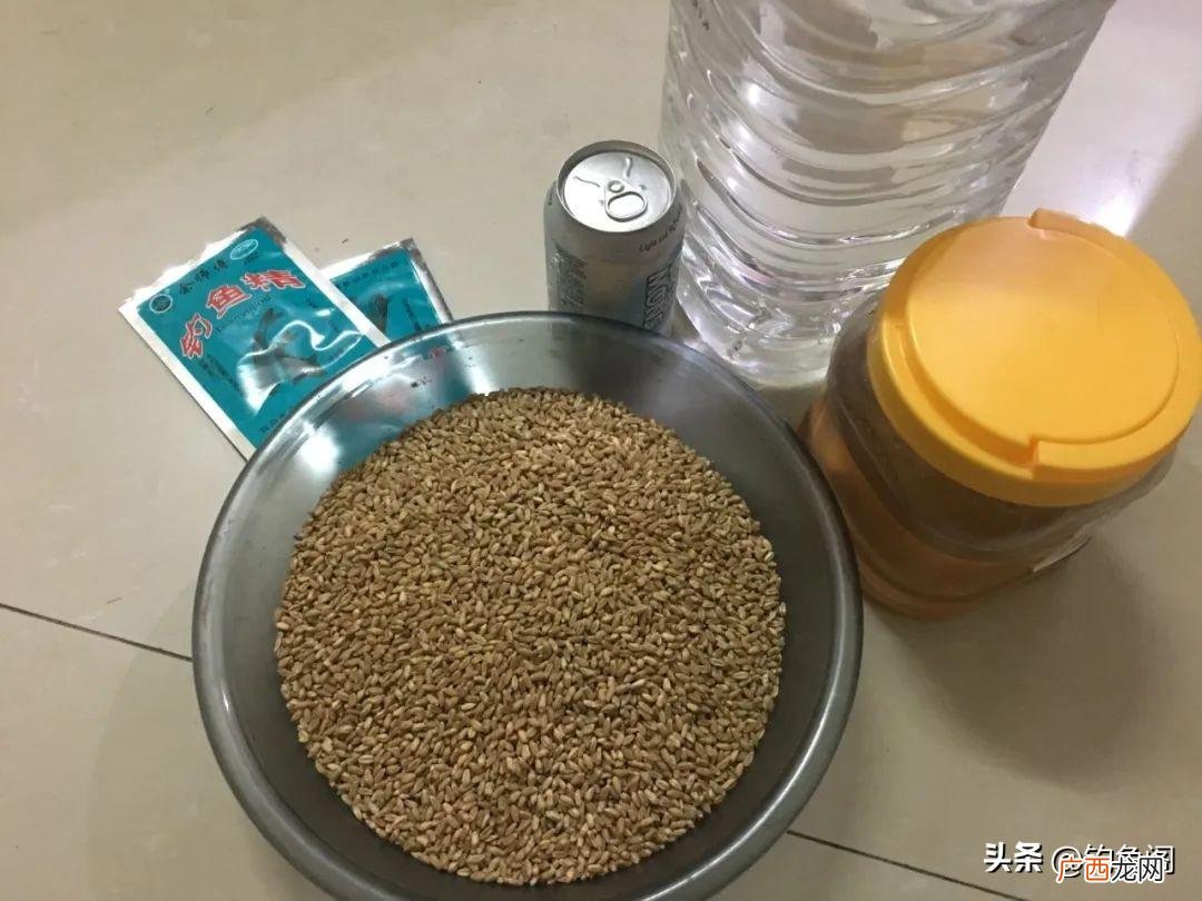打窝料十大排名酒米 野钓排名第一的窝料