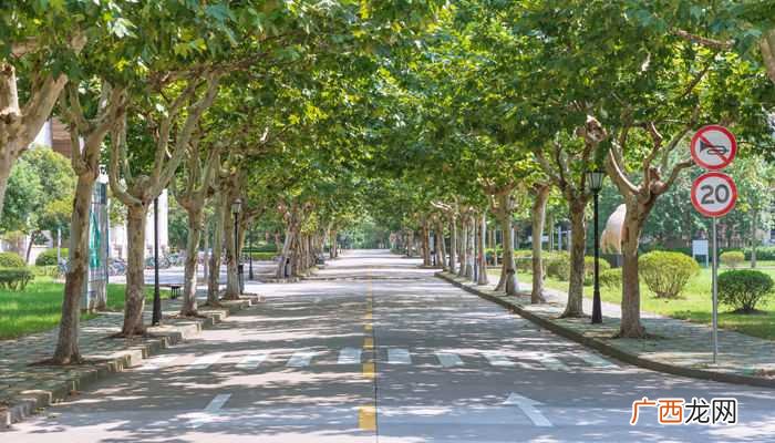 黑龙江科技大学有哪些 黑龙江科技大学是几本