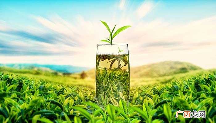 河南茶有哪些种类 河南茶有哪些