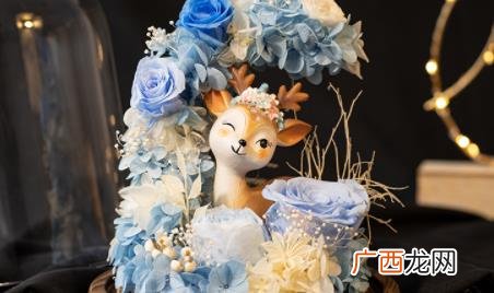 永生花和鲜花哪个好 永生花是鲜花吗