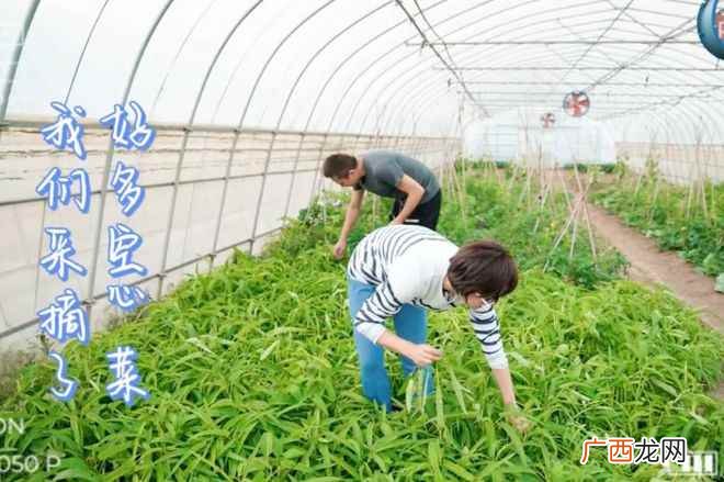 邓超暴瘦40斤后的近照 孙俪邓超近况