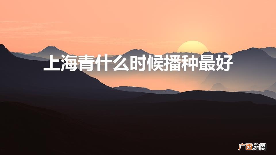 上海青什么季节播种 上海青什么时候播种最好