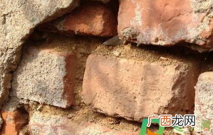 砖的尺寸为什么是240115 砖的尺寸为什么是240