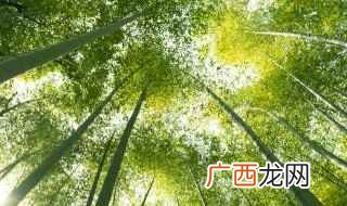竹石古诗 竹石原文及解析