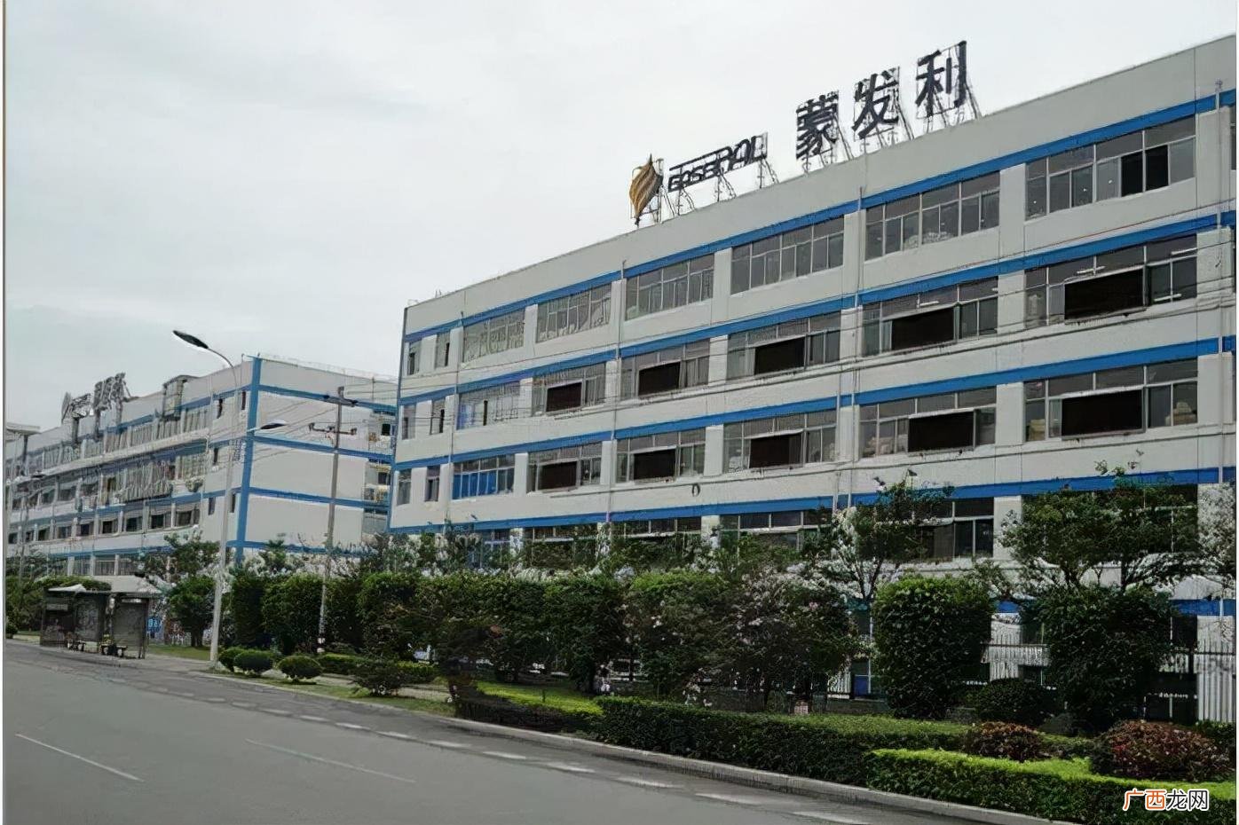 颈椎按摩器哪个品牌好 按摩器十大名牌排行榜