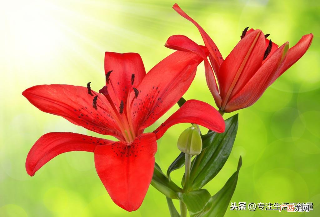 喜欢和真爱的5大不同点 喜欢和爱真正的区别