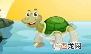 家里养殖乌龟的注意事项 老人为什么不建议养乌龟
