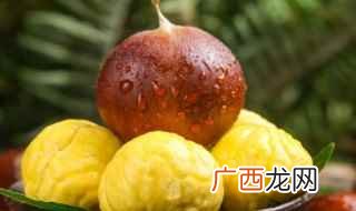 板栗产地主要在哪个省 甘肃板栗产地在哪里
