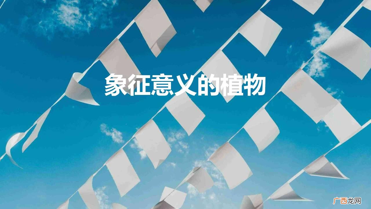 象征意义的植物和对人生的追求 象征意义的植物