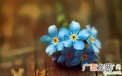 为什么越正直的人越一事无成 过于正直有什么不好吗