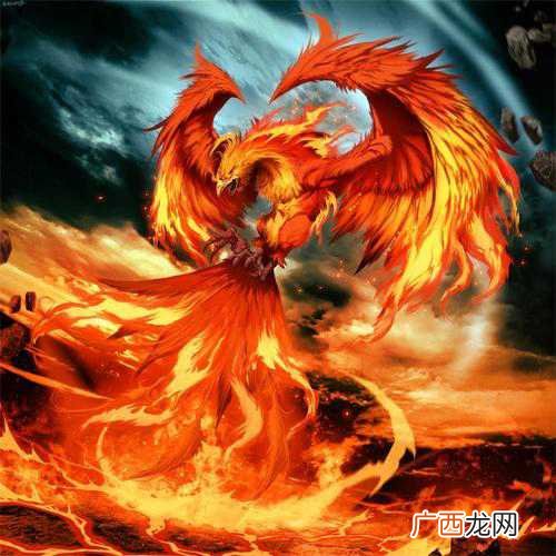 上古神话中两种不同的神兽 不死鸟和凤凰的区别图片