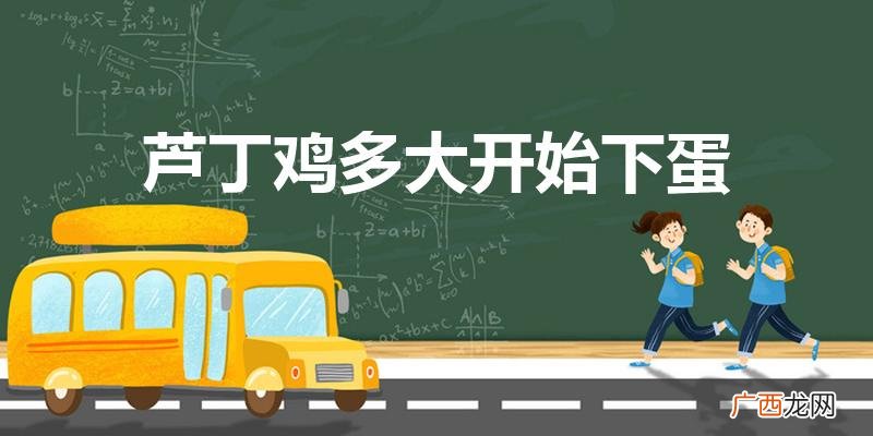 芦丁鸡多久下蛋 芦丁鸡多大开始下蛋