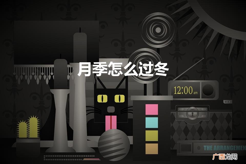 月季怎么过冬（月季花过冬的方法)