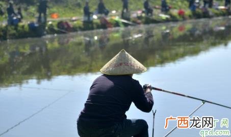 野钓用拉饵钓鲫鱼要不要打窝 野钓鲫鱼打窝有什么技巧