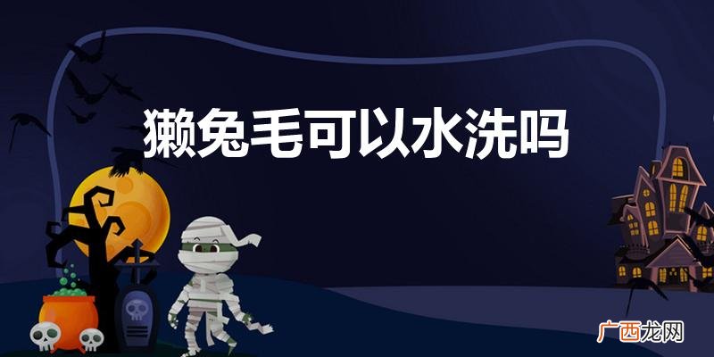 獭兔毛皮草可以水洗吗 怎么清洗 獭兔毛可以水洗吗