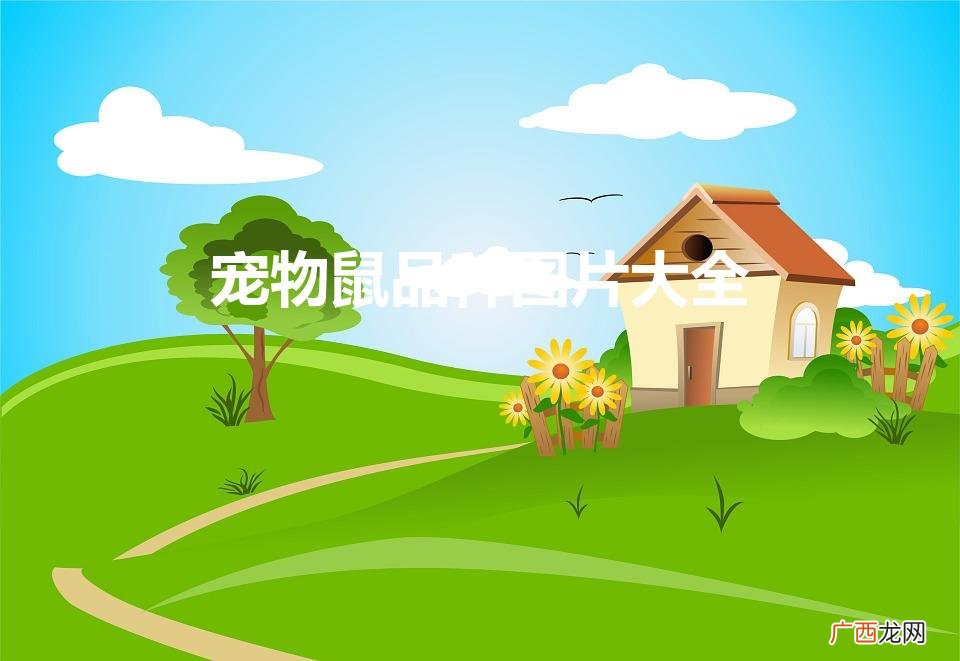 宠物鼠品种图片大全（宠物鼠的品种)