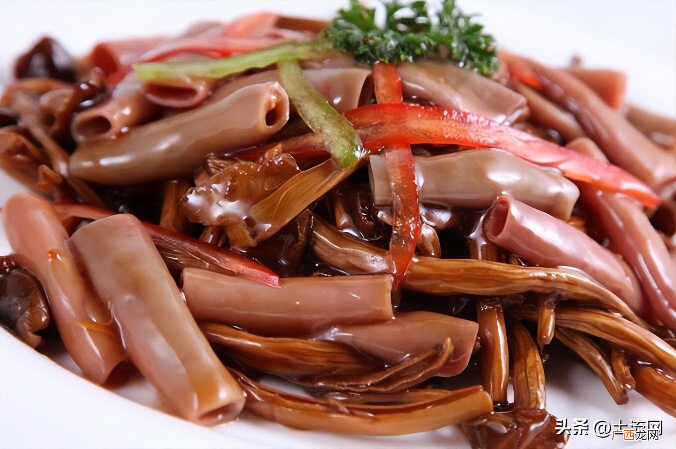 和沙虫什么区别 海肠是什么动物